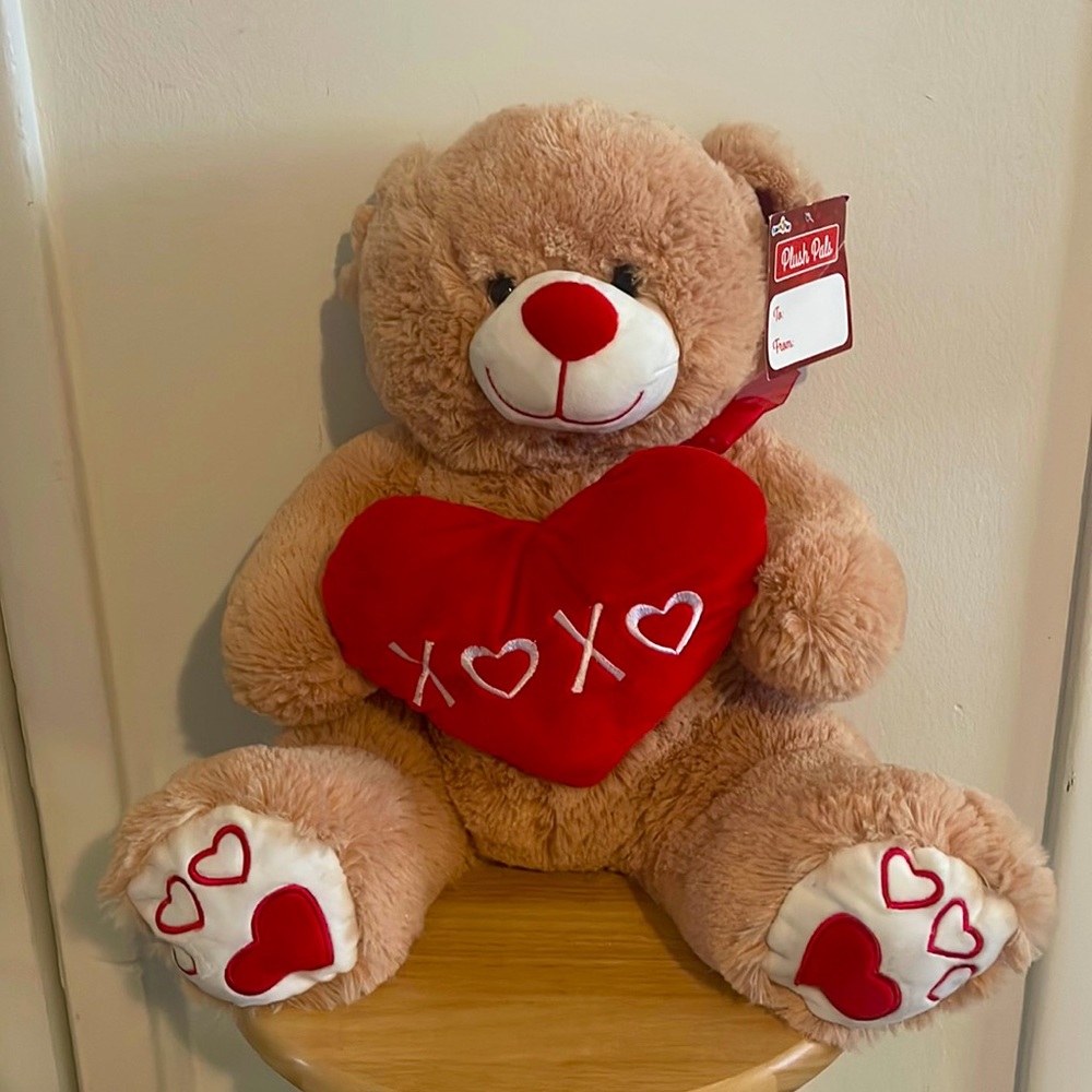 Plush Pals Valentines Plush Bear
